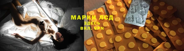 кокс Алексин