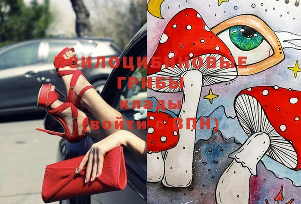 кокс Алексин