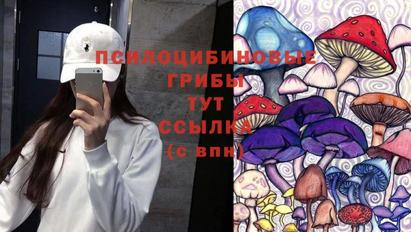кокс Алексин