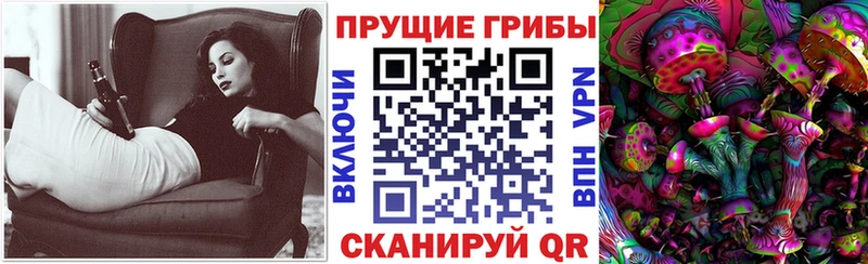 сайты даркнета формула  Кашин  Галлюциногенные грибы MAGIC MUSHROOMS 